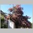 za0111.html